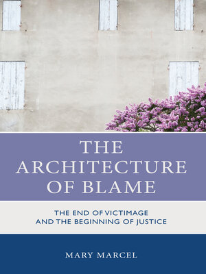 cover image of The Architecture of Blame
